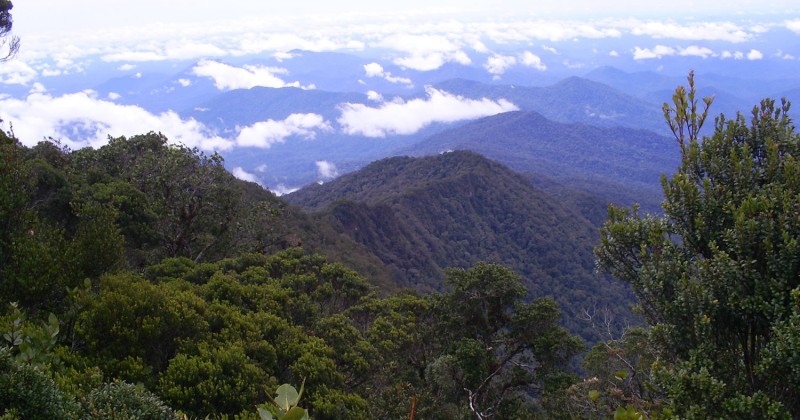 Taman Nasional Bukit Raya