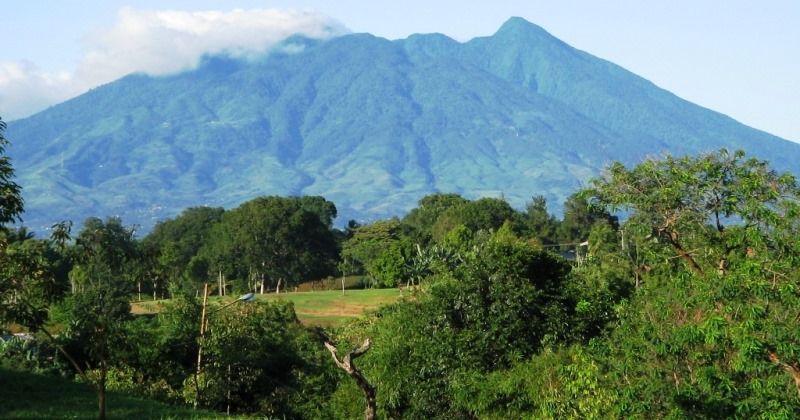 Taman Nasional Gunung Palung