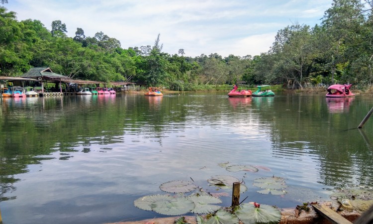 Kegiatan Kebun Raya Unmul