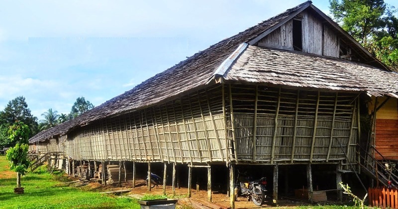 Rumah Betang, Rumah Tradisional Suku Dayak