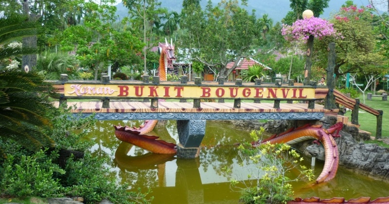 Keindahan Taman Bunga Bukit Bougenville Singkawang, Kalimantan Barat