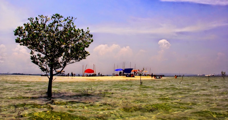Pulau Segajah, Pulau Unik Nan Eksotis di Kalimantan Timur