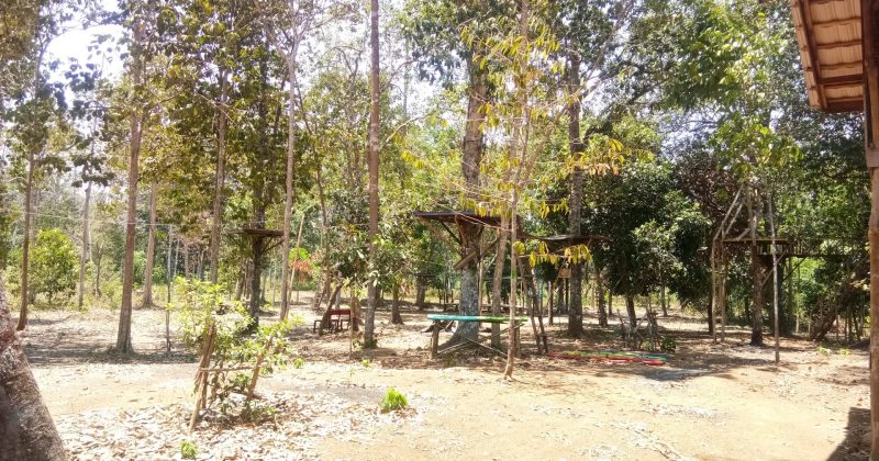 Rumah Pohon Asri yang Sedang Hits di Banjarbaru