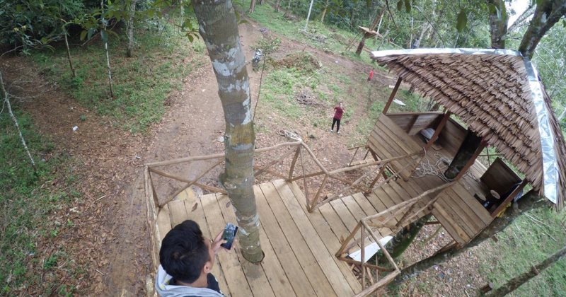 Tips Berkunjung ke Rumah Pohon Cempaka Banjarbaru