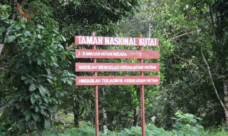 Sejarah Singkat Berdirinya Taman Nasional Kutai