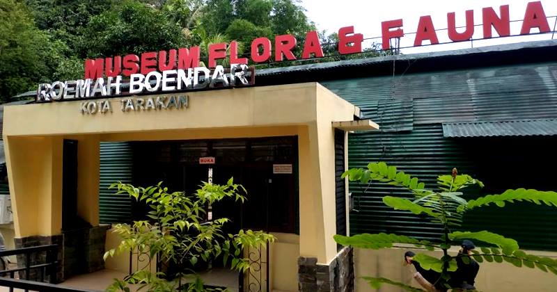 Rekreasi Sambil Belajar di Museum Flora & Fauna Tarakan