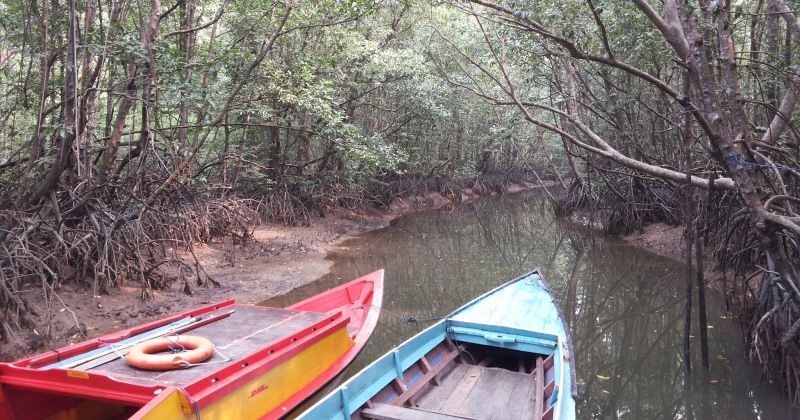 Pusat Mangrove Graha Indah, Ekowisata Terbaik di Balikpapan