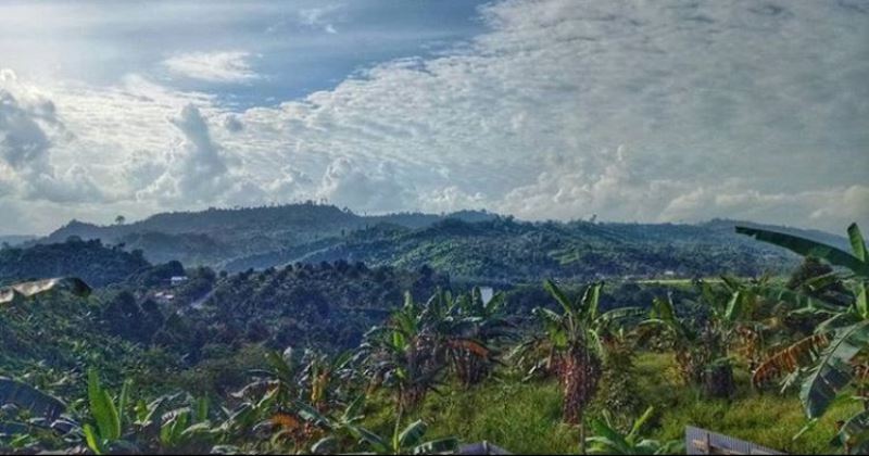 Pesona Bukit Soeharto, Taman Hutan Raya Dengan Keanekaragaman Hayati Melimpah