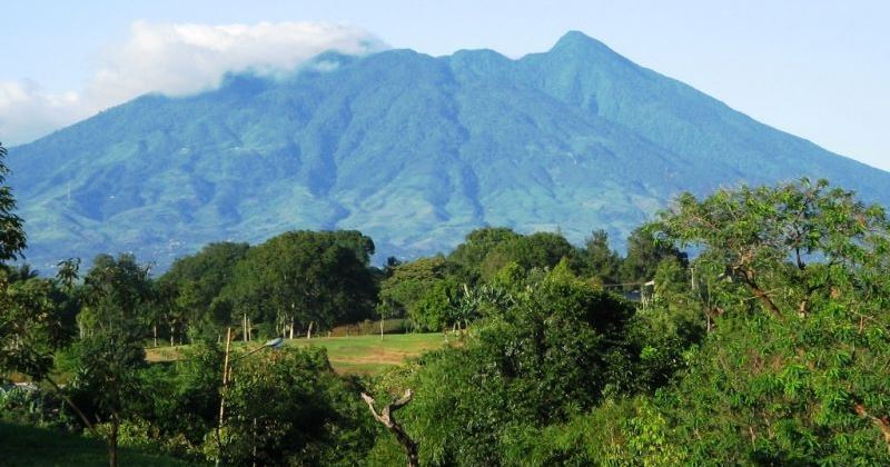 Taman Nasional Gunung Palung, Menyimpan Rahasia & Kekayaan Alam Kalimantan Barat