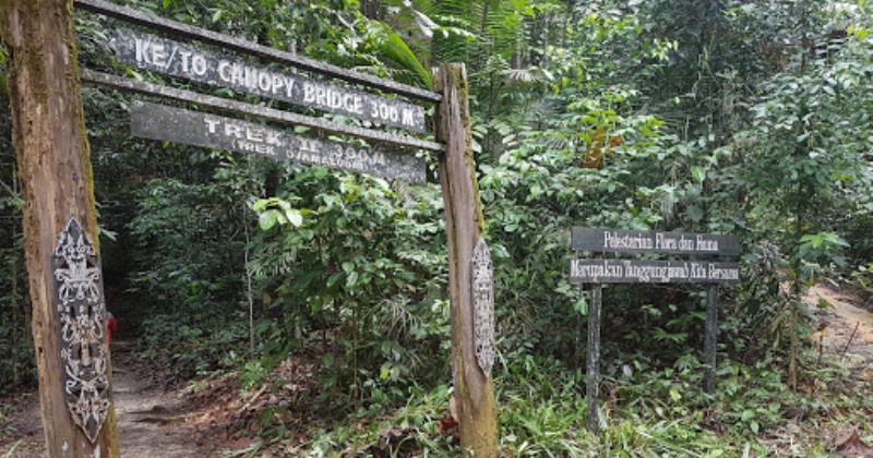 Lokasi dan Tiket Masuk Di Wisata Canopy Bridge Bukit Bangkirai