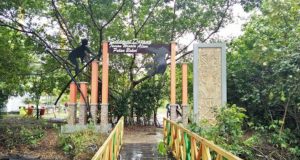 Taman Wisata Alam Pulau Bakut, Taman Wisata Hits dengan Beragam Flora & Fauna