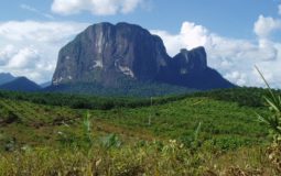 Bukit Batu Daya, Pesona Gunung Batu Eksotis & Tebing Terbesar di Kalimantan Barat