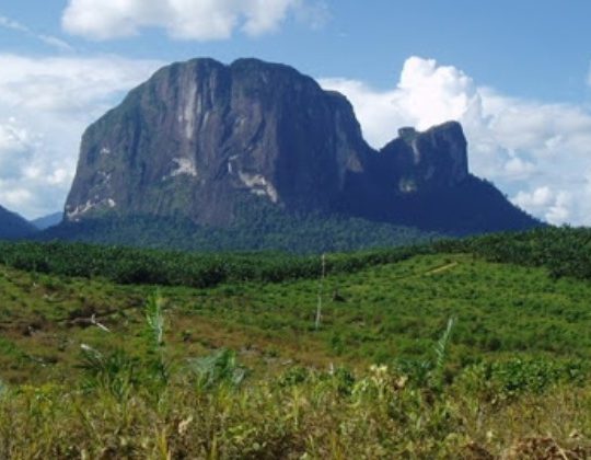 Bukit Batu Daya, Pesona Gunung Batu Eksotis & Tebing Terbesar di Kalimantan Barat