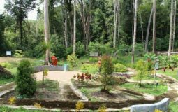 Kebun Raya Sambas, Kawasan Wisata Alam Hits dengan Tumbuhan Unik & Langka