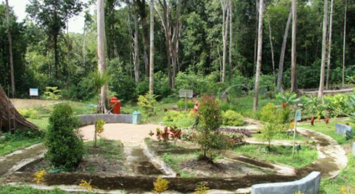 Kebun Raya Sambas, Kawasan Wisata Alam Hits dengan