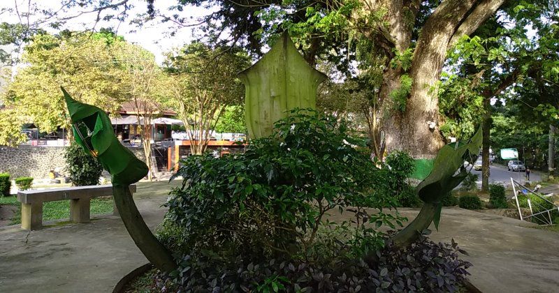 Taman Wisata Teluk Lerong Garden Yang Sejuk Dan Menawan Di Samarinda