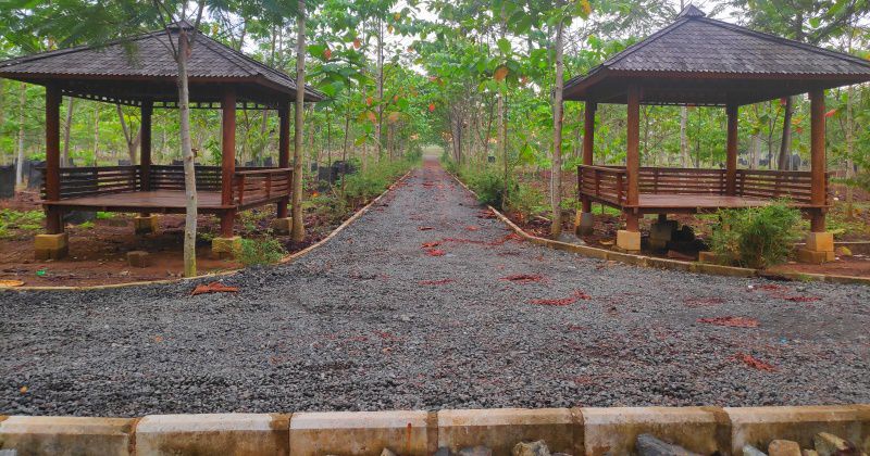 Fasilitas Di Wisata Alam Taman Hutan Hujan Tropis Indonesia Banjar Baru