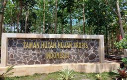 Menikmati Sejuknya Taman Hutan Hujan Tropis Indonesia di Banjarbaru