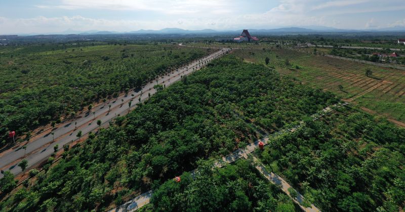 Wisata Alam Taman Hutan Hujan Tropis Indonesia Yang Sejuk Dan Menarik Di Banjar Baru