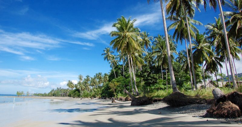 Lokasi Wisata Pantai Sarang Tiung