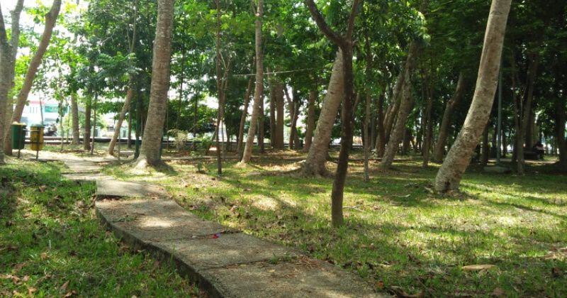Daya Tarik Hutan Kota Kuala Kapuas