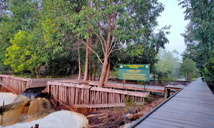 Daya Tarik Taman Nasional Sebangau