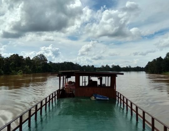 Taman Nasional Sebangau, Wisata Hutan Gambut Unik di Kalimantan Tengah