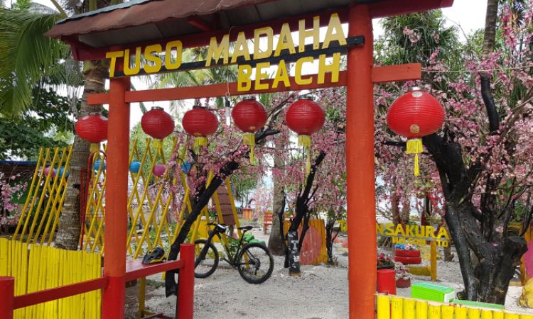 Taman Sakura, Taman Bunga Cantik & Kekinian Ala Jepang di Ternate