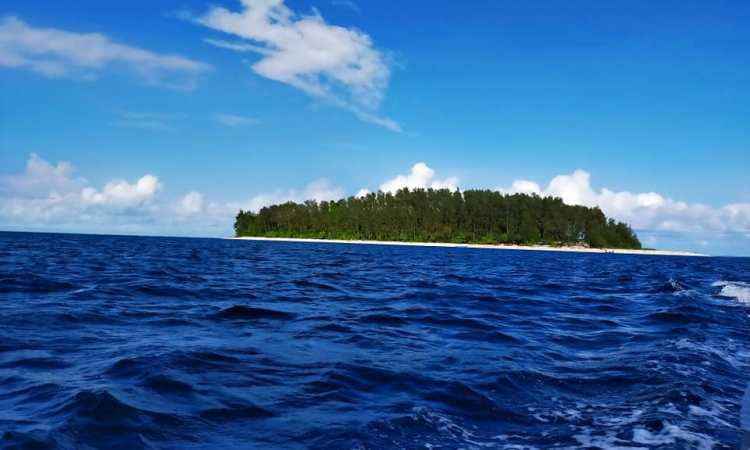 Biaya Wisata Pulau Tabailenge Morotai