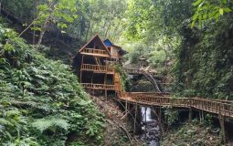 Hutan Kampung Rotan, Wisata Alam Hits dengan Spot Foto Menarik di Ambon