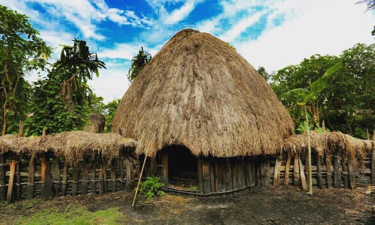 Rumah Adat Papua Ebei