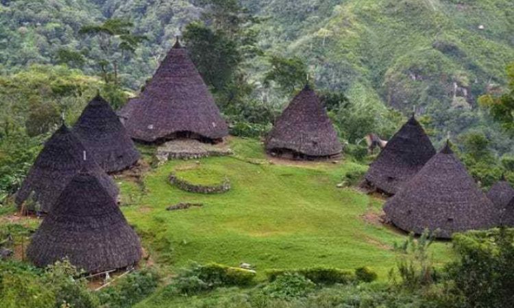 7 Rumah Adat Papua & Keunikannya