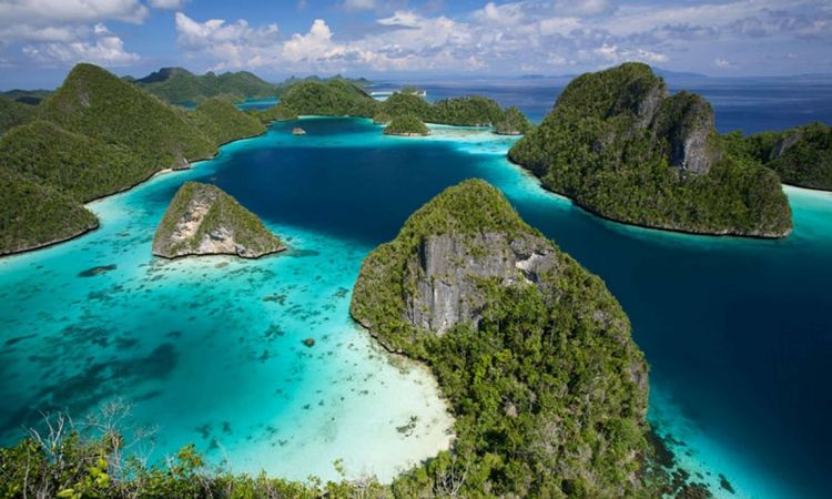Terumbu Karang Pulau Wayag