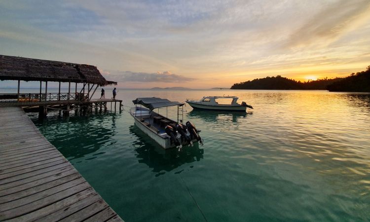 Tiket Masuk Di Wisata Pantai Saleo Raja Ampat