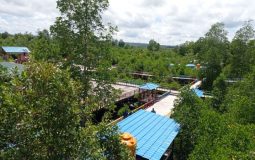 Taman Wisata Mangrove Klawalu, Ekowisata yang Menawan di Sorong