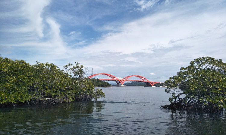 Daya Tarik Wisata Teluk Youtefa Di Jayapura