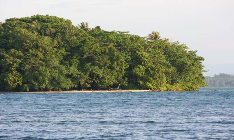 Lokasi Wisata Pulau Wakde