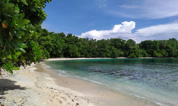 Pulau Wakde, Pesona Pulau Cantik yang Sarat Sejarah di Jayapura