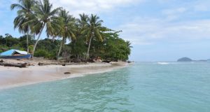 Pulau Liki, Pulau Eksotis dengan Keindahan Bawah Lautnya di Sarmi