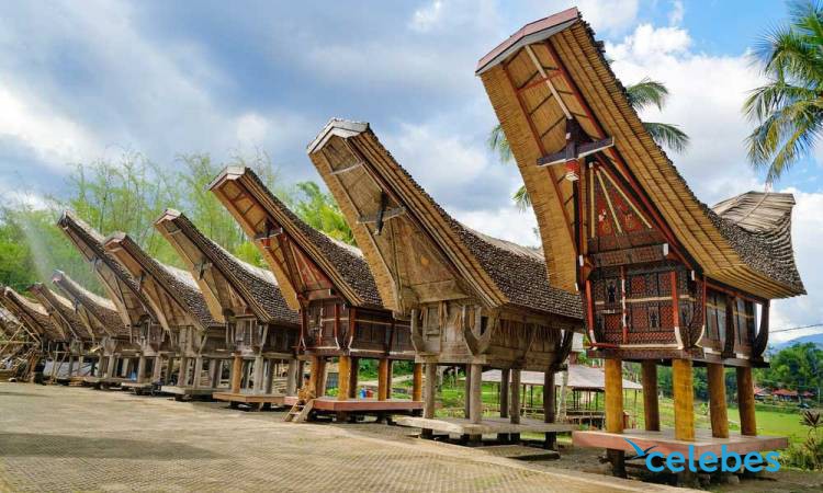 22 Tempat Wisata di Toraja Terbaru & Paling Hits Dikunjungi