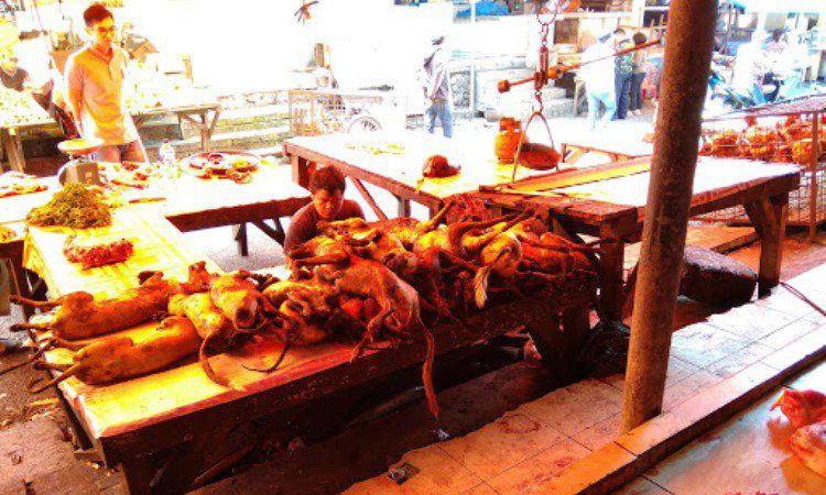 Ekstremnya Daging di Pasar Tomohon