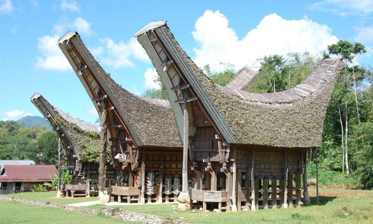 Gambar rumah adat suku toraja