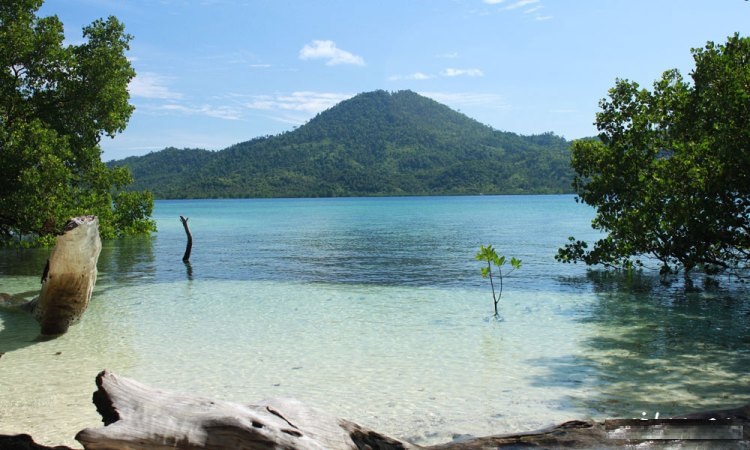 Tanjung Matop