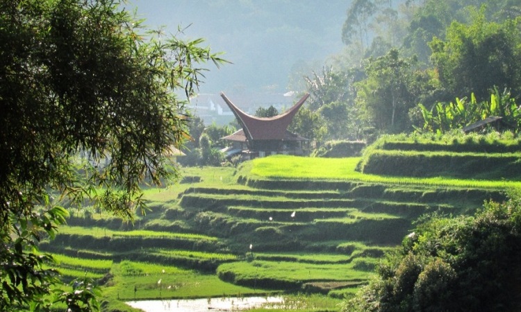 16 Tempat Wisata di Pinrang Terbaru & Paling Hits Dikunjungi