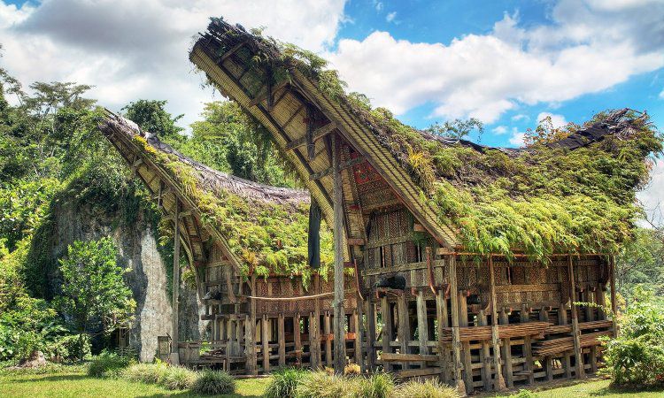 Tongkonan, Rumah Pengingat Leluhur