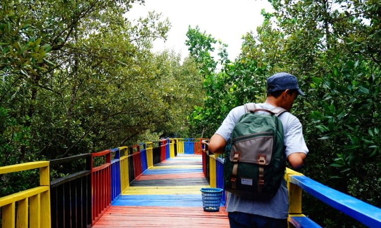 Mengenal Wisata Tracking Mangrove Pulau Bungkotoko