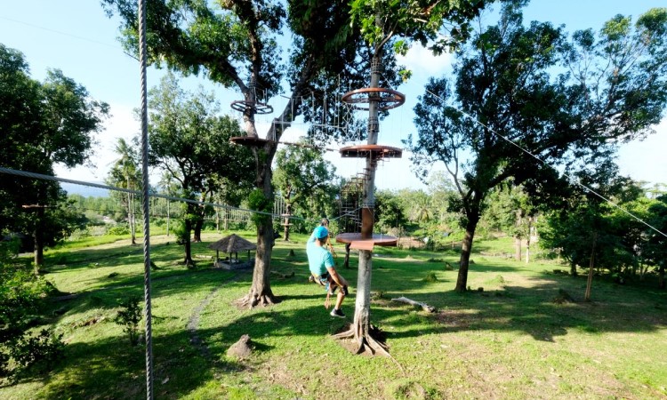 Daya Tarik Treetop Zipline yang Dapat Memikat Pengunjung