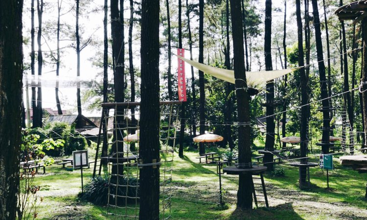 Fasilitas yang Tersedia di Manado Treetop Zipline Park