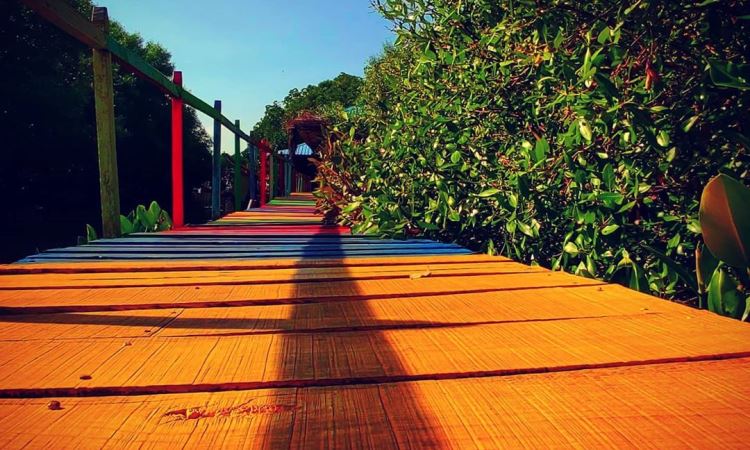 Jembatan Warna-Warni di Taman Mangrove