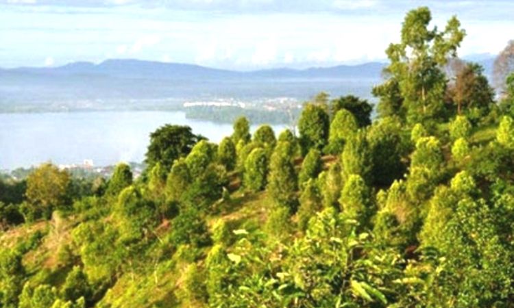 Pegunungan Nipa-Nipa, Taman Hutan Raya Dengan Panorama Cantik